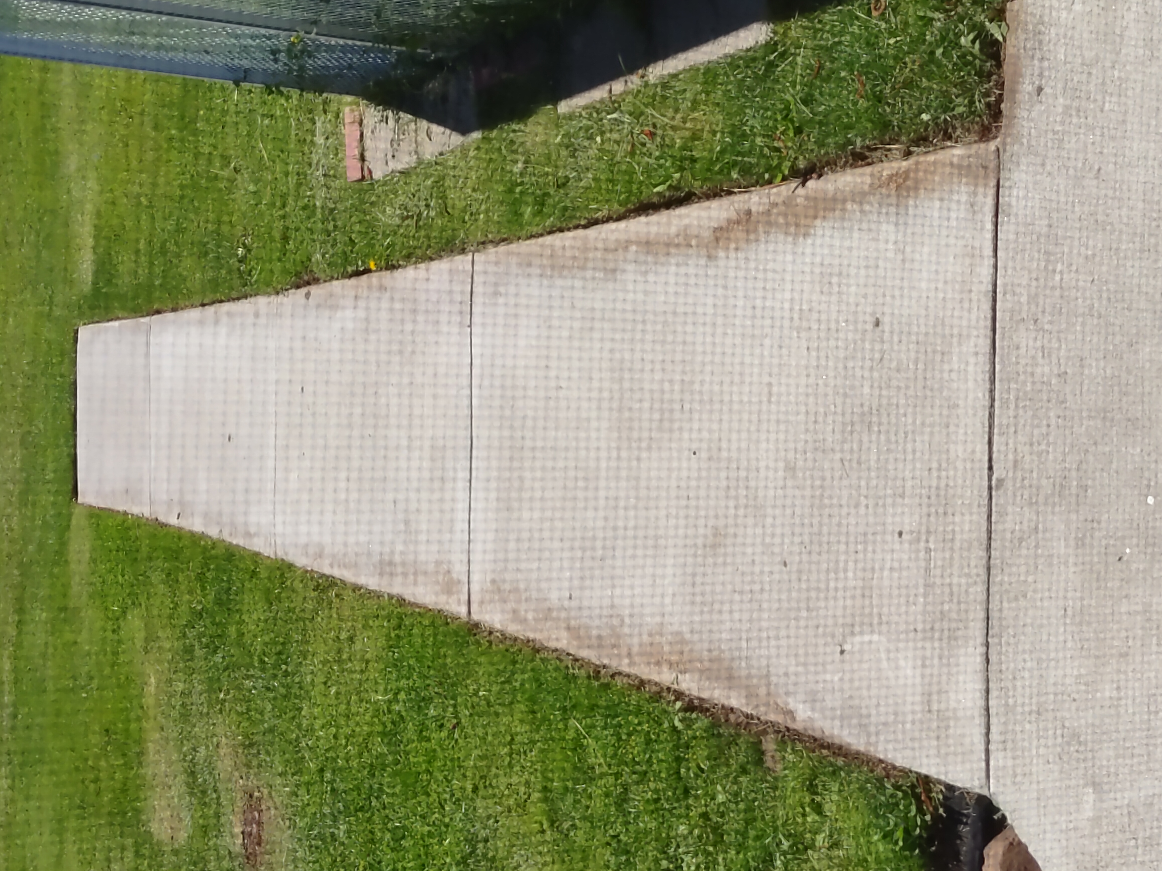 Backyard Lawn Services Logo