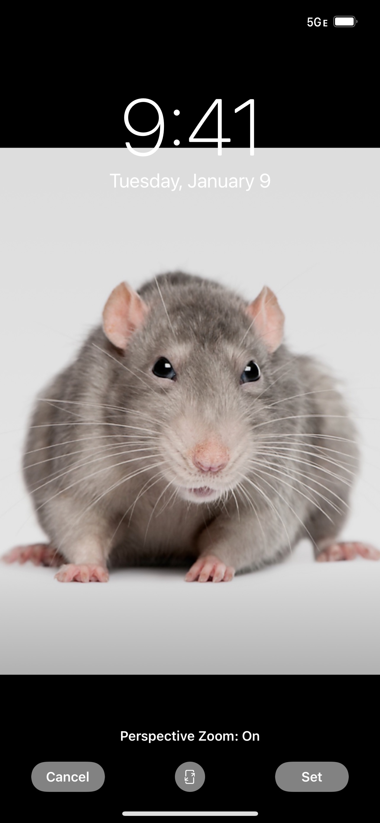Eliminate Em Pest Management Logo