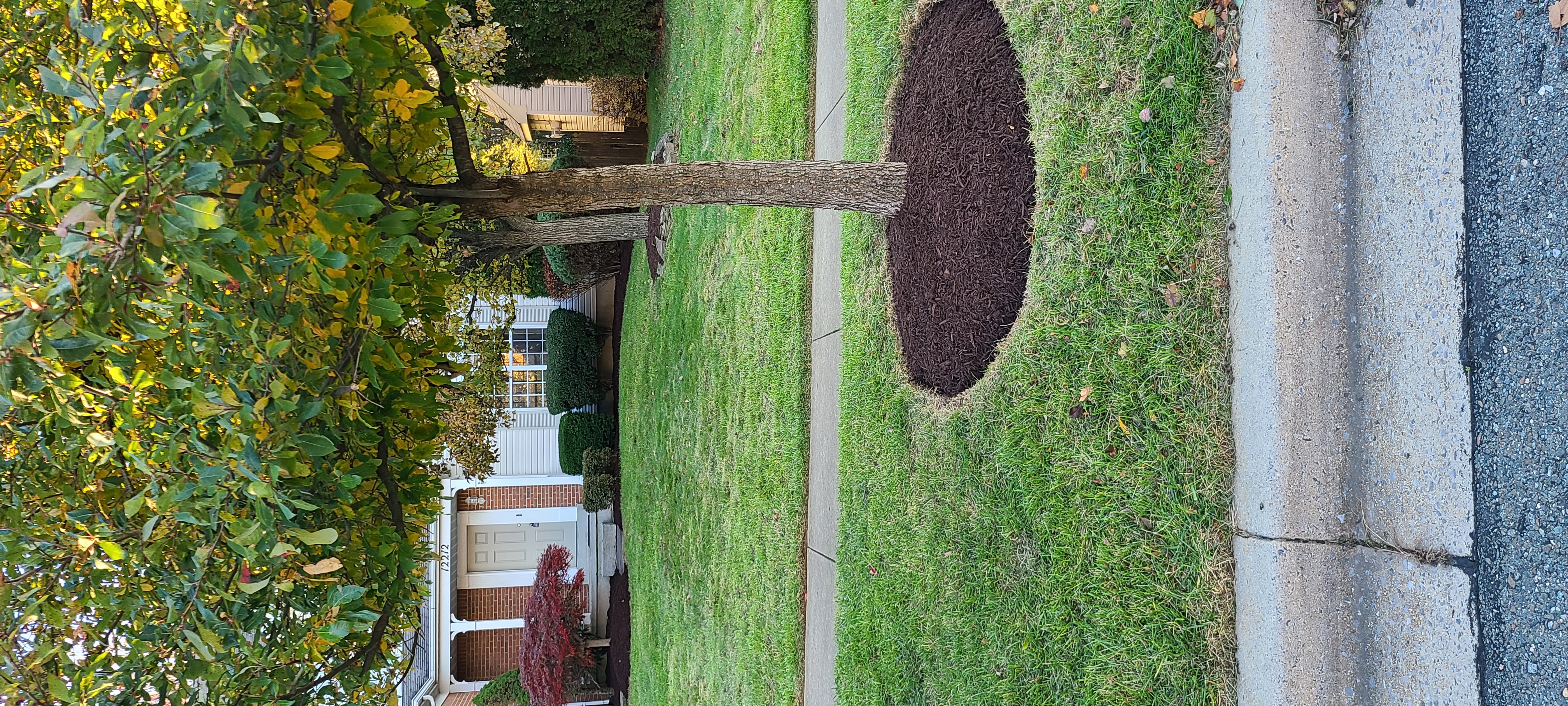 Alex Landscaping Maintenance Logo