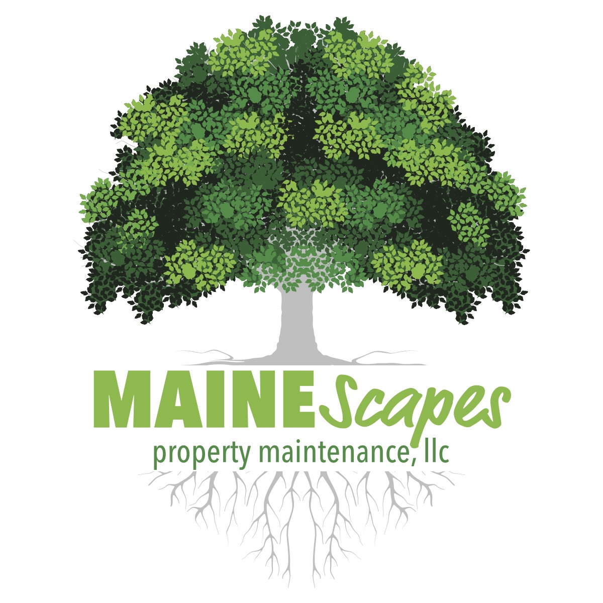 Mainescapes Property Maintenance, LLC Logo