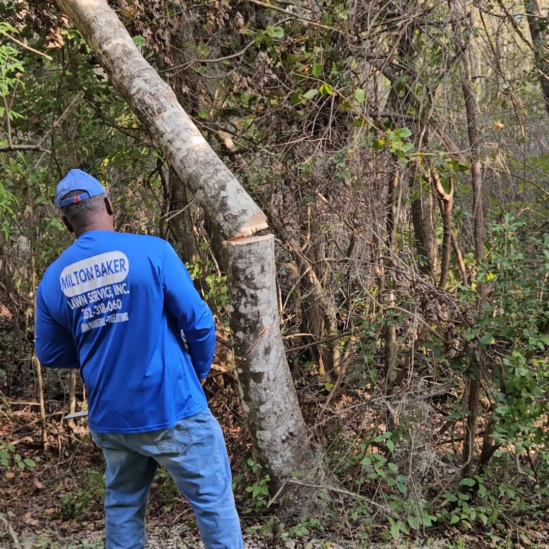 Milton Baker Lawn Service, Inc Logo