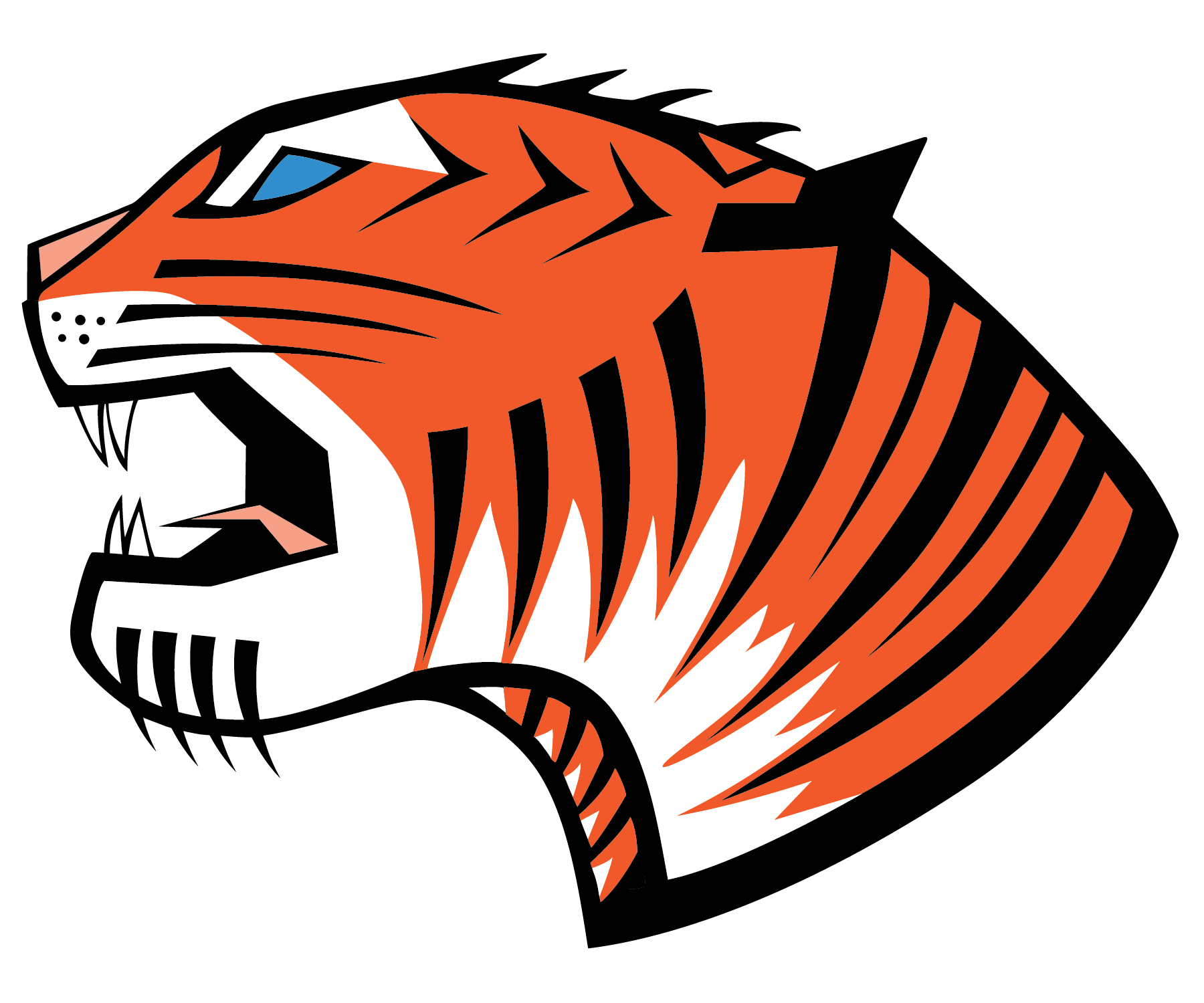 Tiger C Construction, LLC Logo