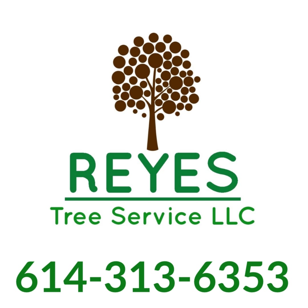 Reyes Tree Service LLC - Home  Facebook Logo