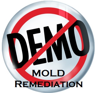No Demo Mold Logo
