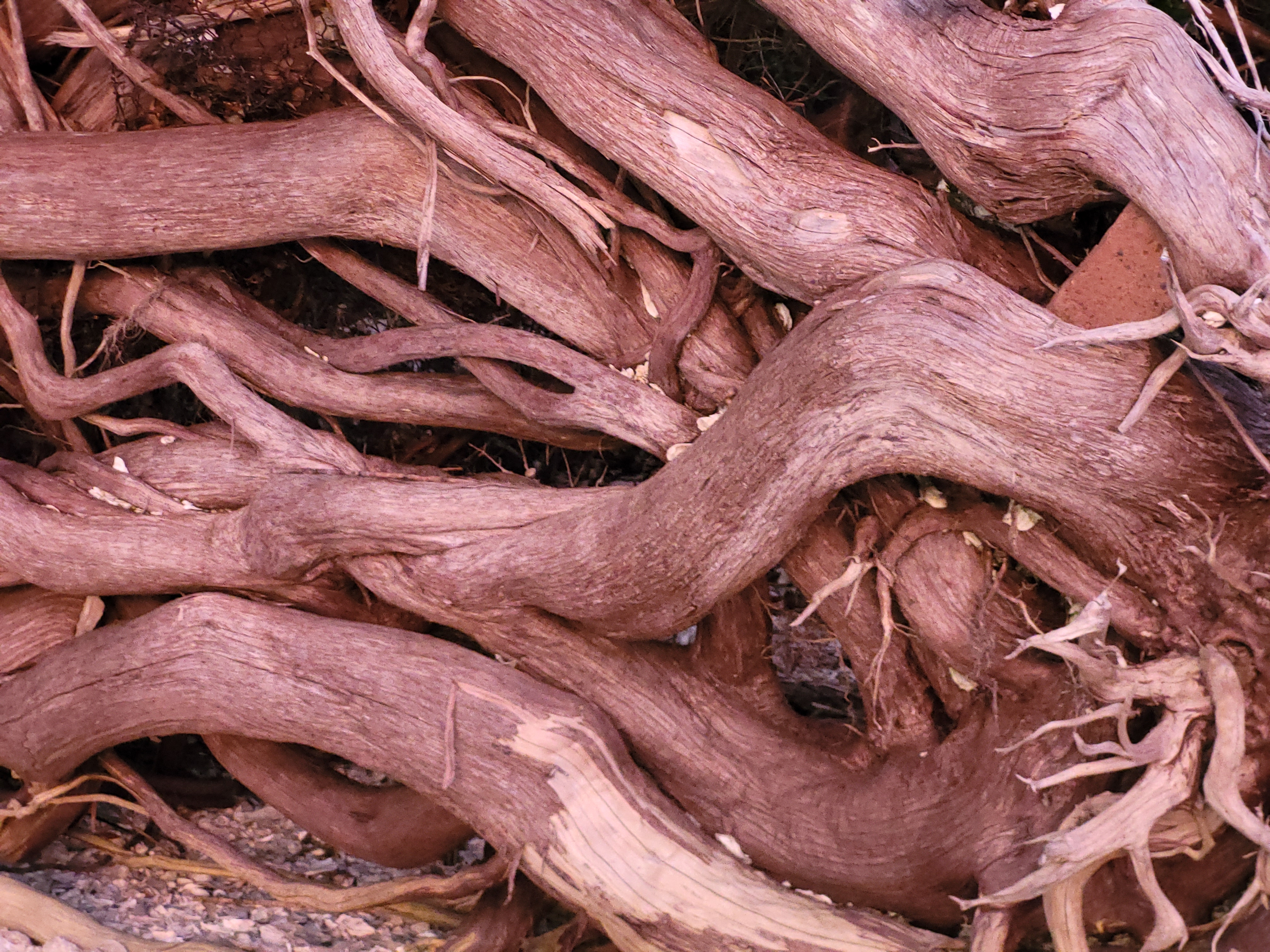 Bradshaw Cabinets, LLC Logo