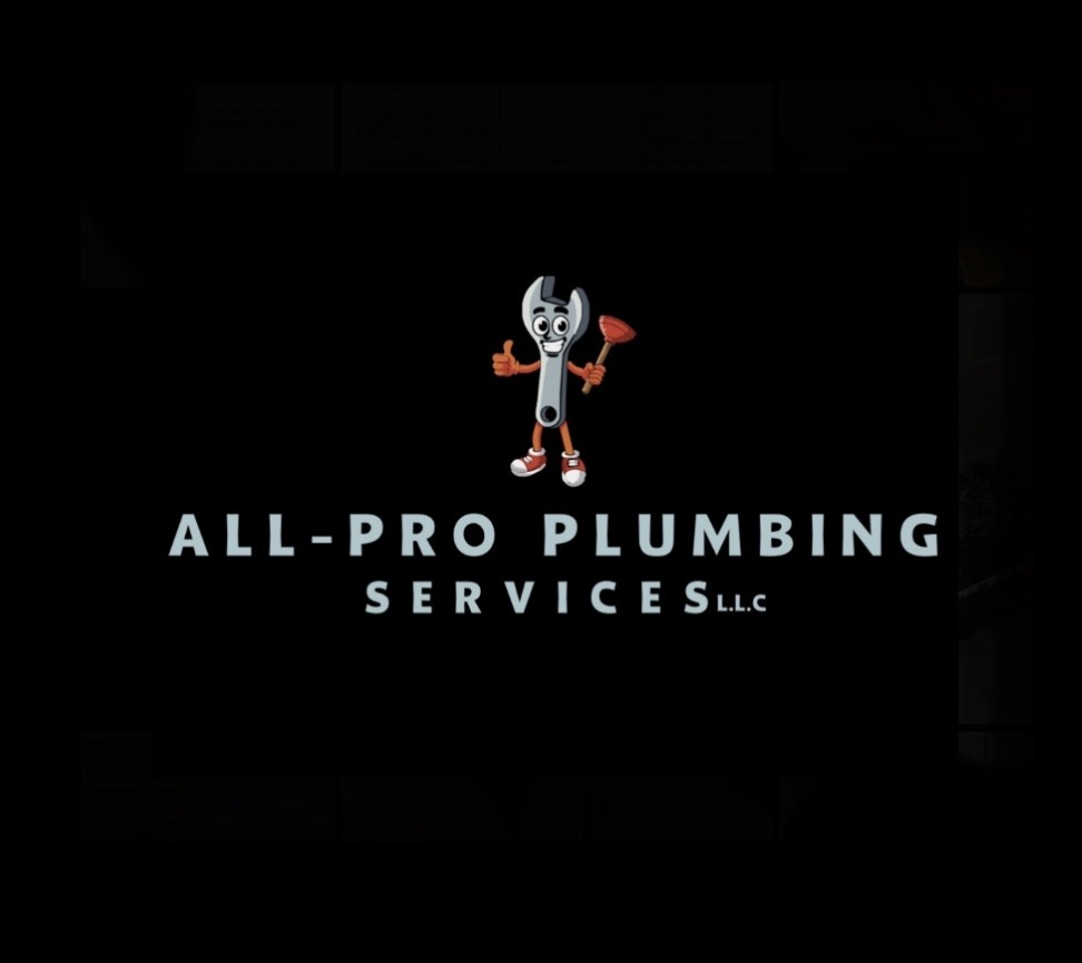 All-pro plumbing services LLC Logo