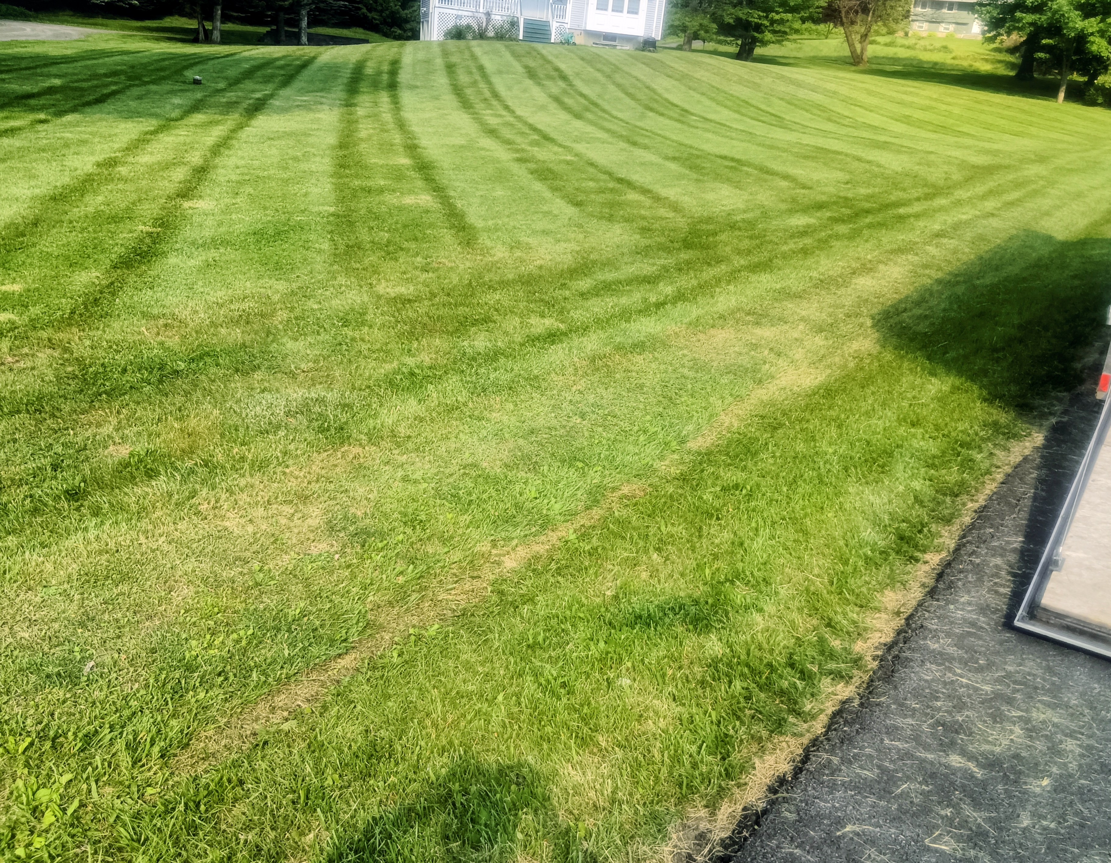 Scott's Lawn Care & Landscaping Logo