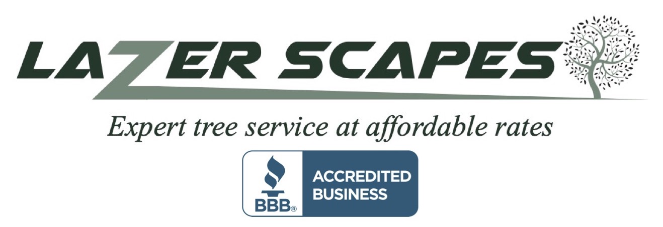 Lazer Scapes, LLC Logo