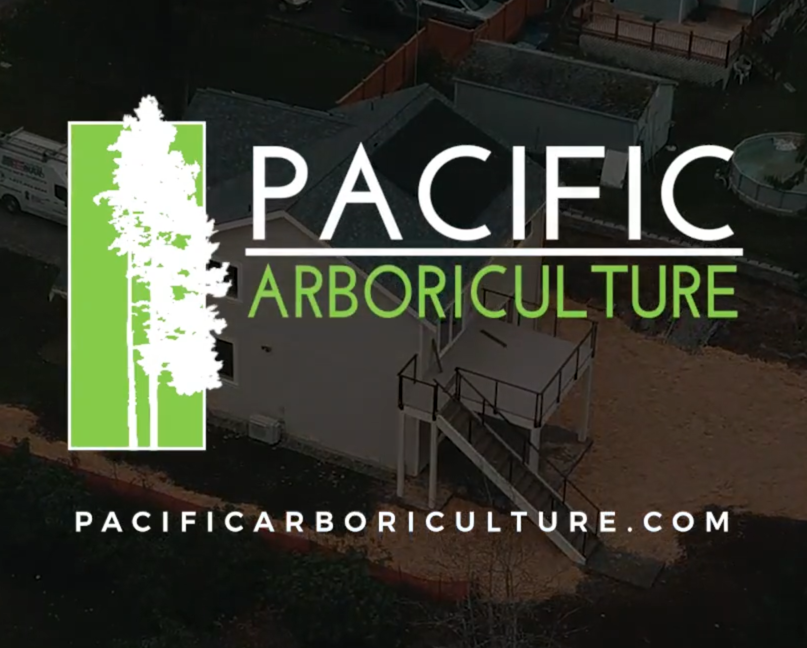 Pacific Arboriculture Logo