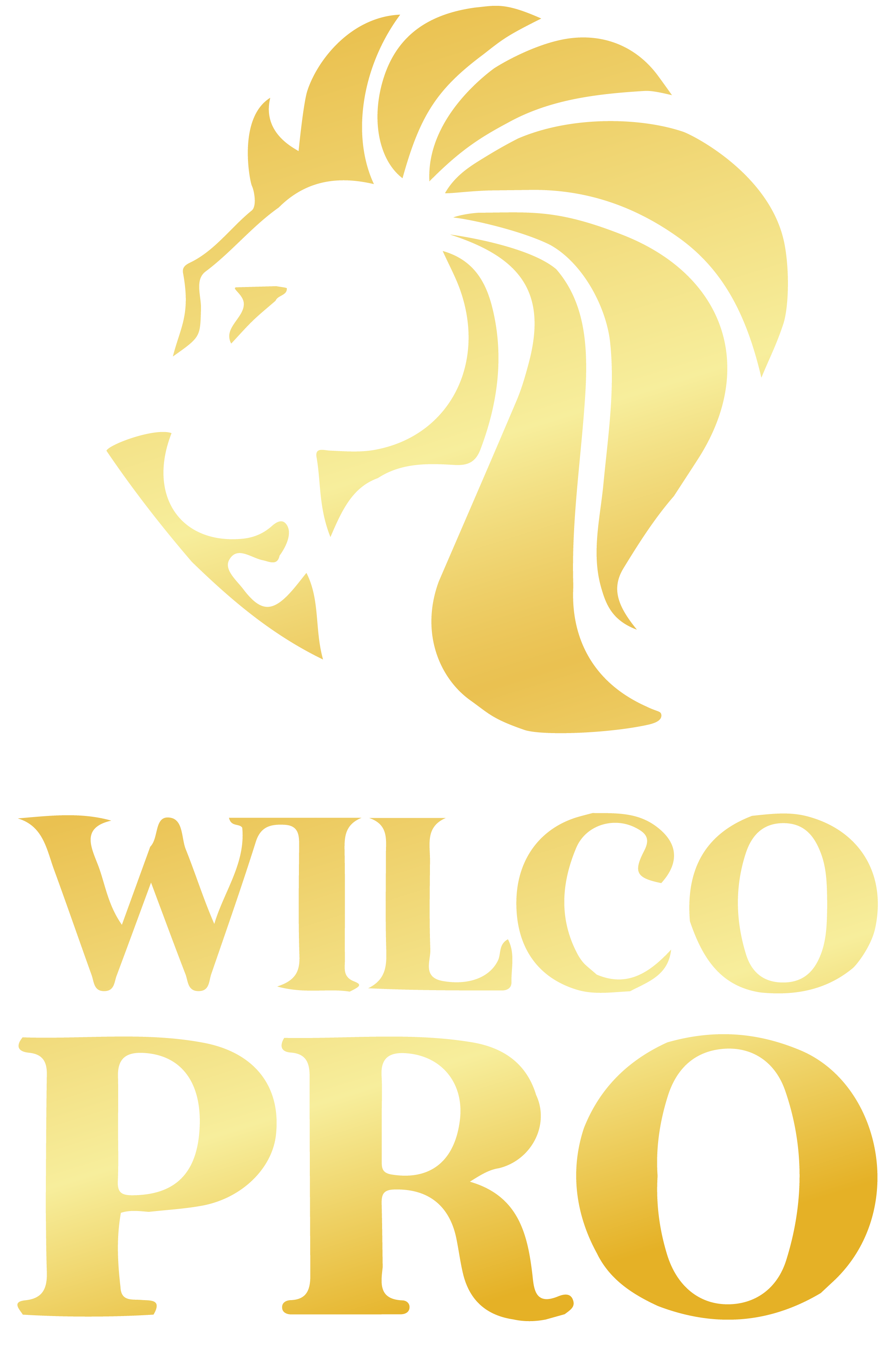 Wilco Pro Services, LLC Logo