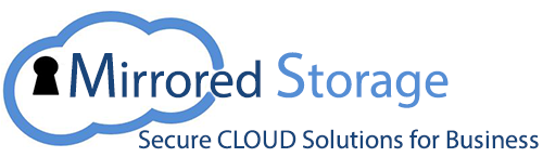Mirrored Storage, Inc. Logo