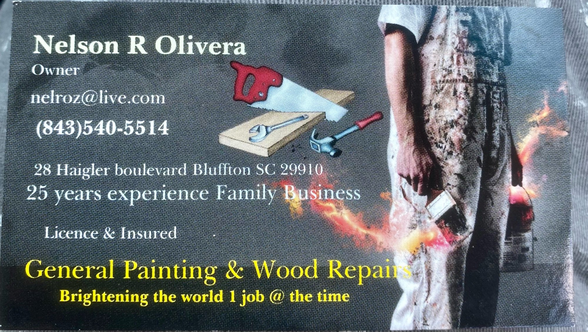 Nelson's Olivera General Painting Logo