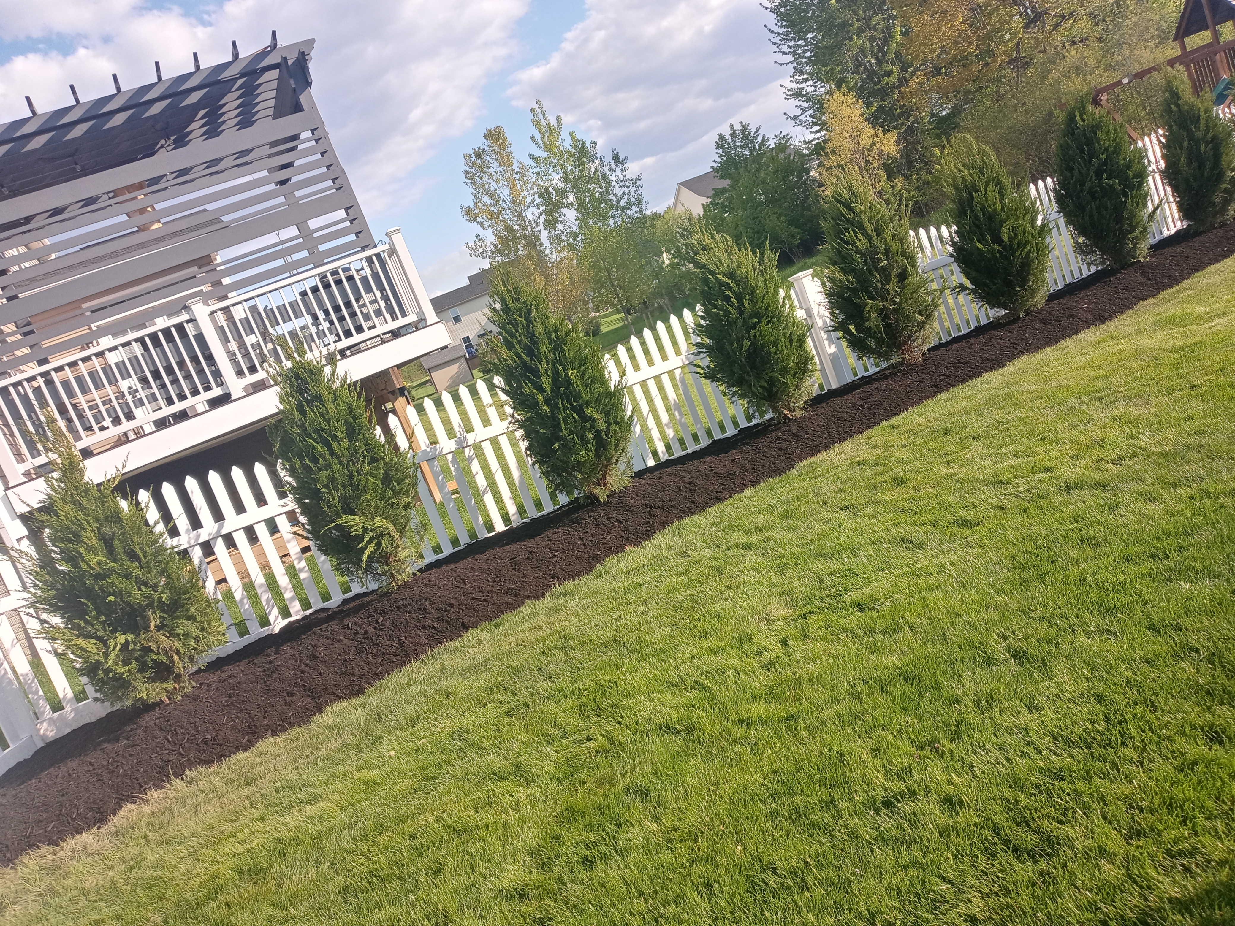 Albert Landscaping Logo
