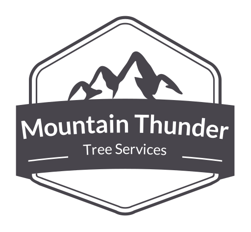 Mountain Thunder Tree Services Logo