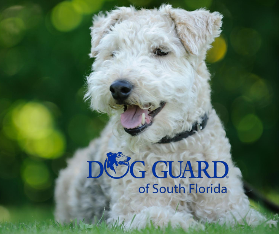 Dog Guard of Southwest Florida, LLC Logo