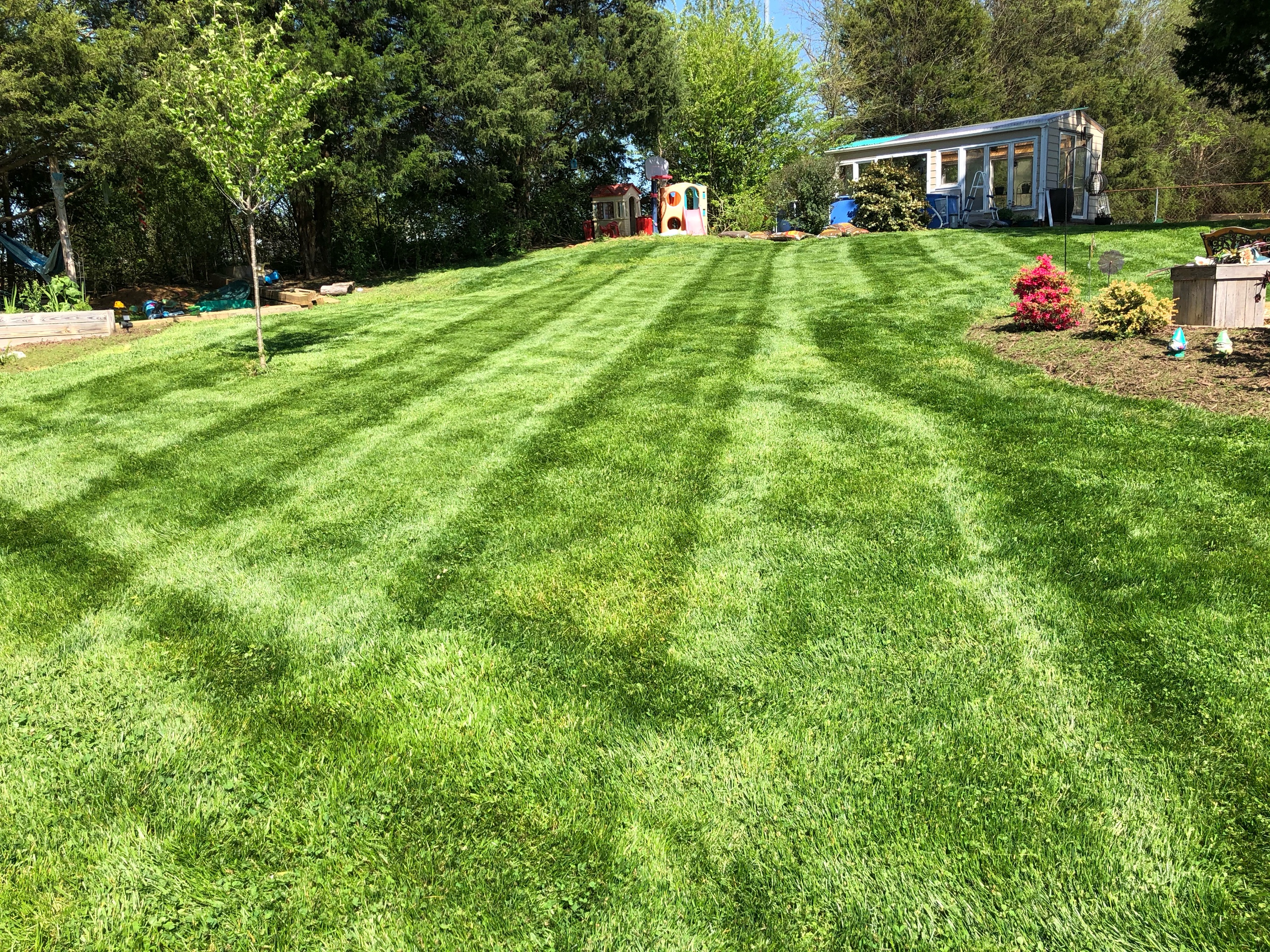 Absolute Lawn and Landscape Logo