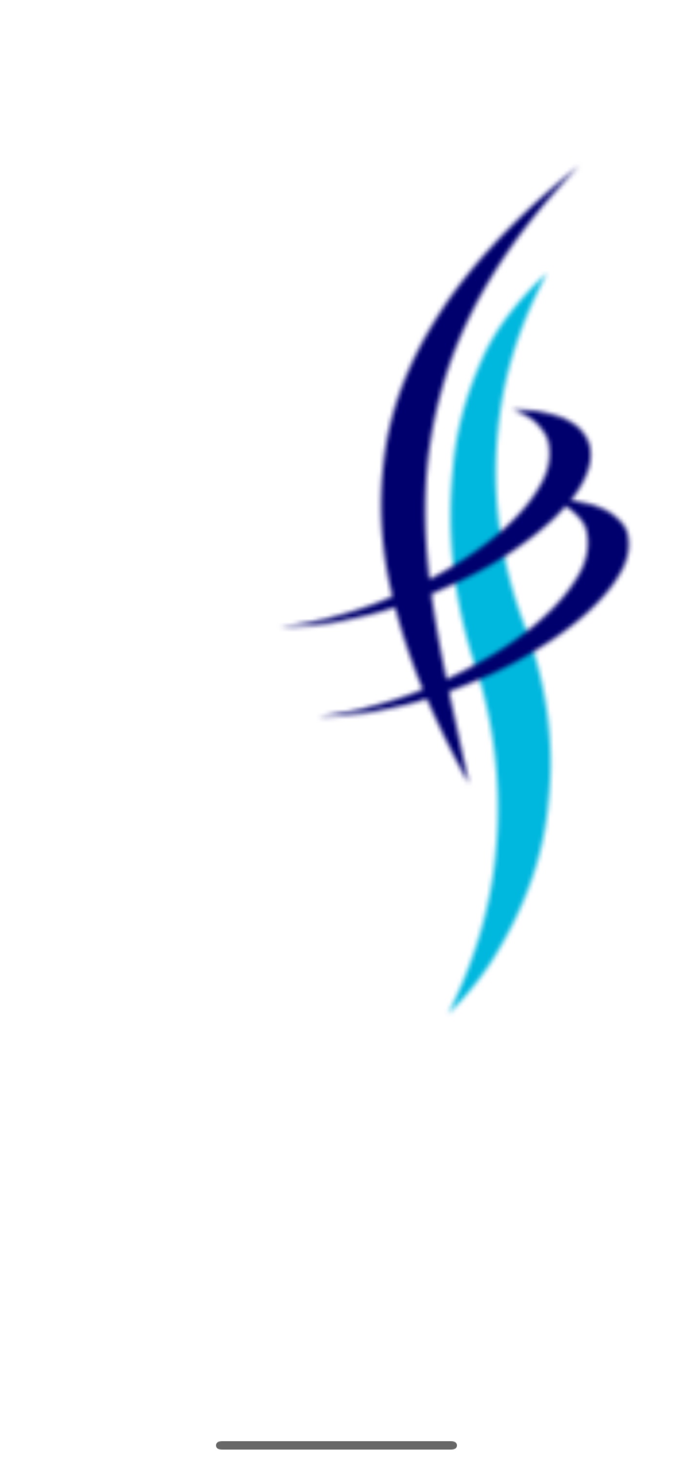 Blue Sky Hardscapes and Irrigation LLC Logo