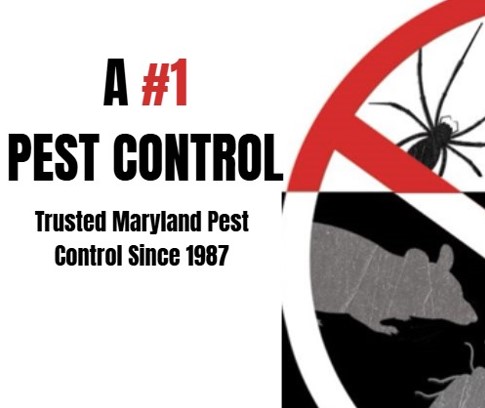 A # 1 Pest Control Logo