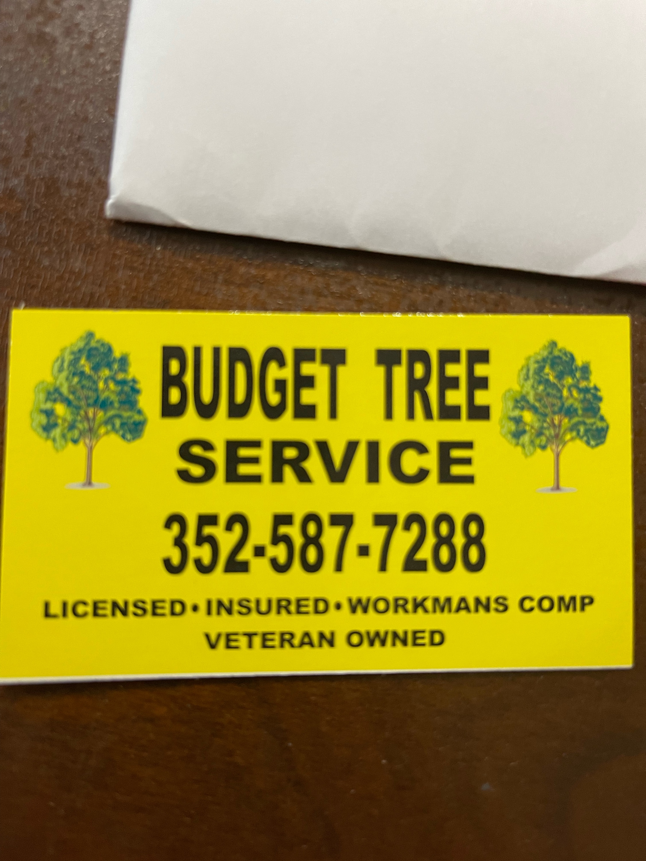 Budget Tree Service, LLC Logo