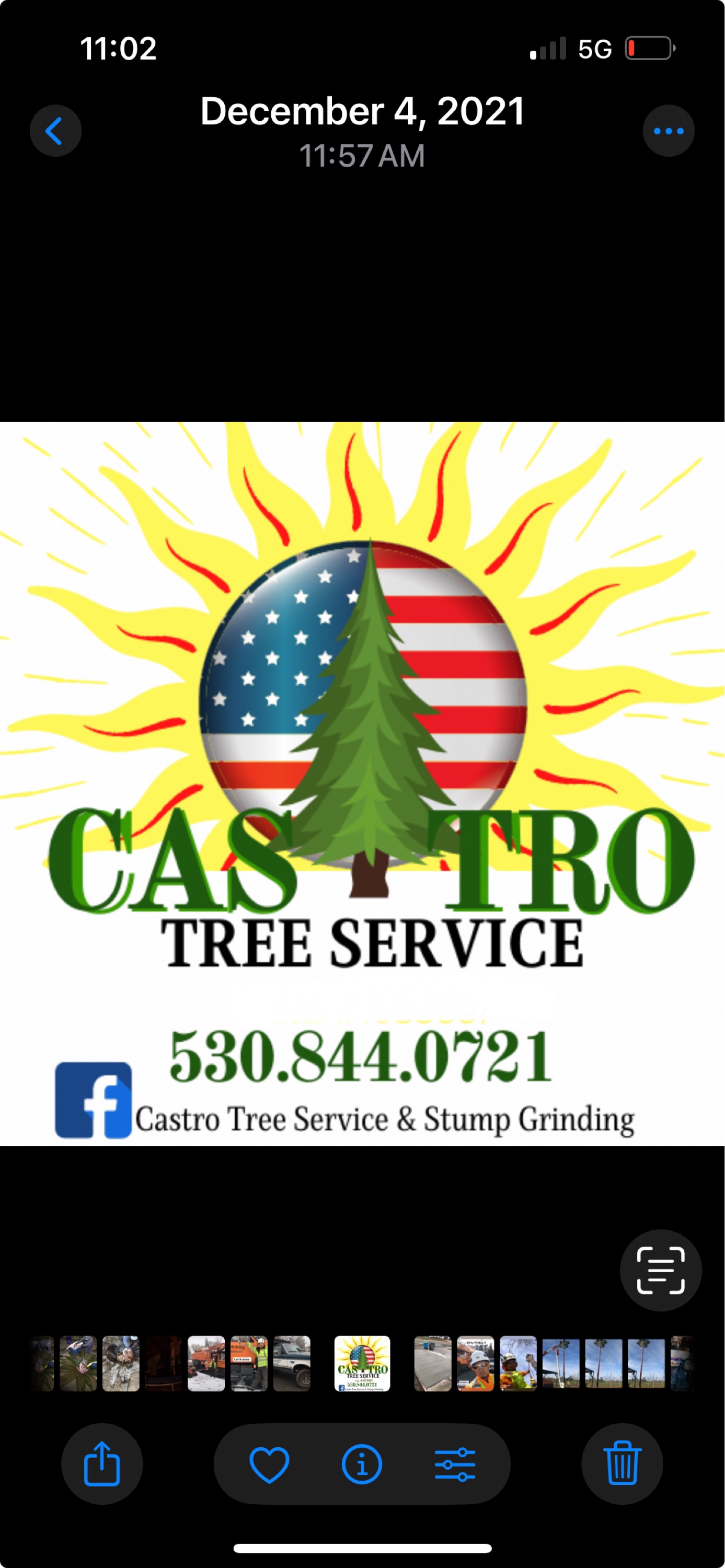 Castro Tree Service Logo