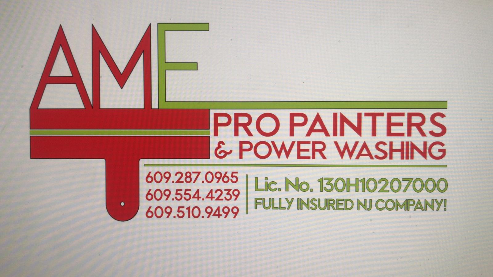 AME Pro Painters, LLC Logo