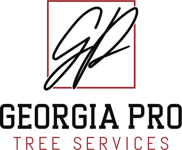 Pro Services of Georgia Logo