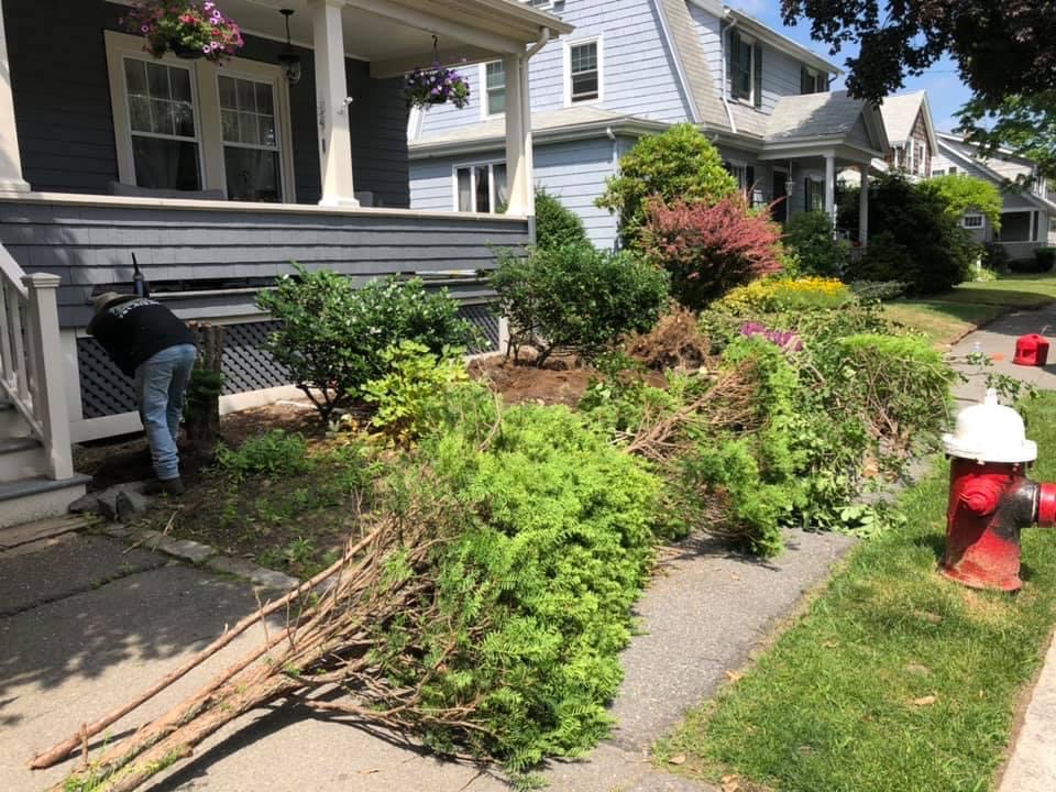 AAA Pro Landscaping, LLC Logo