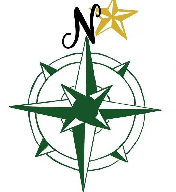 North Star Roof Deicing Logo
