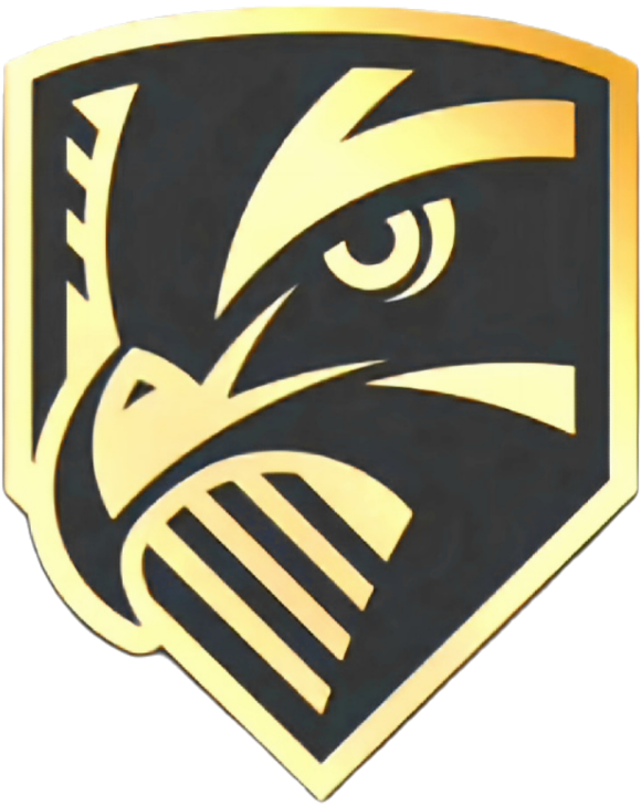 Eagle Eye Painting Logo