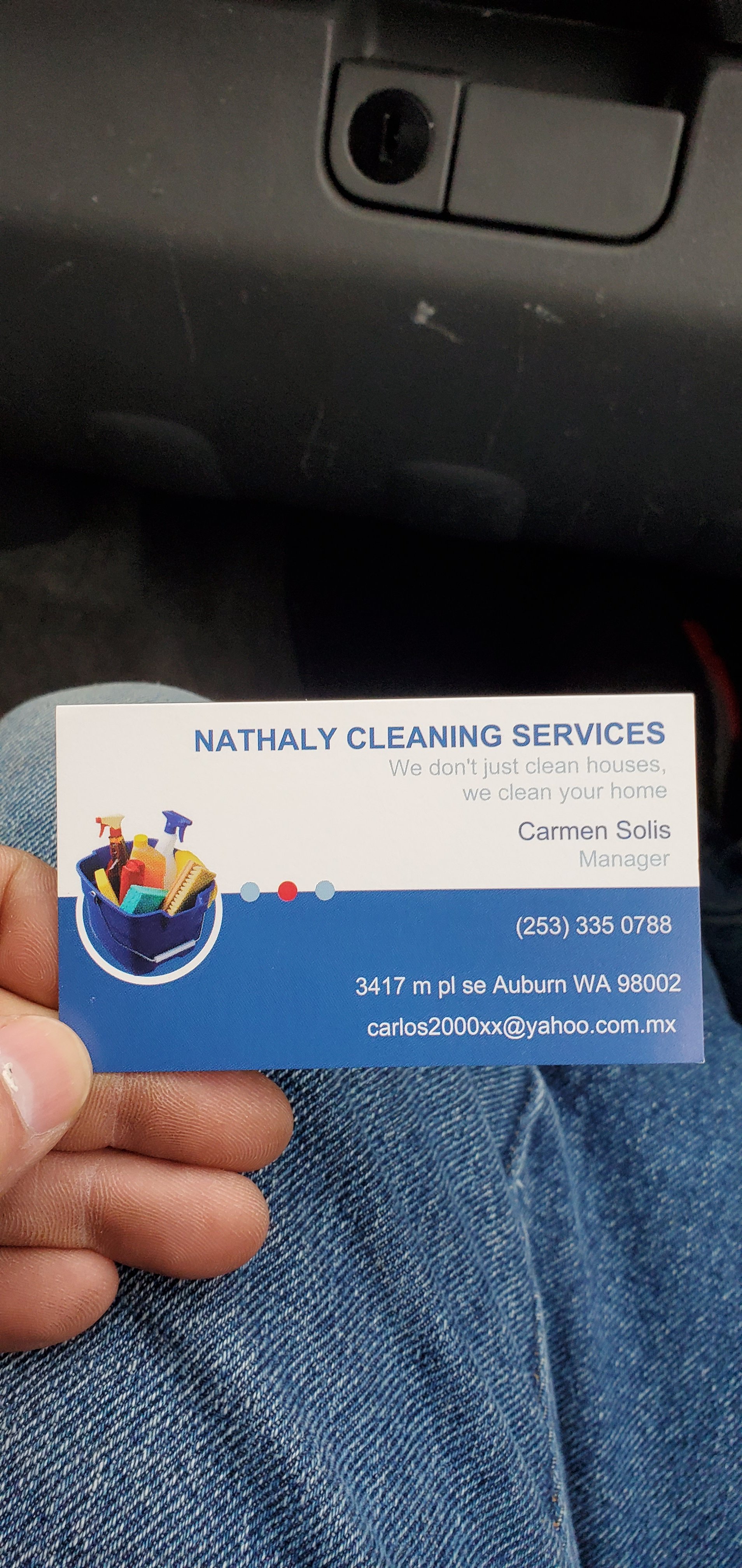 Nathaly Cleaning Service Logo