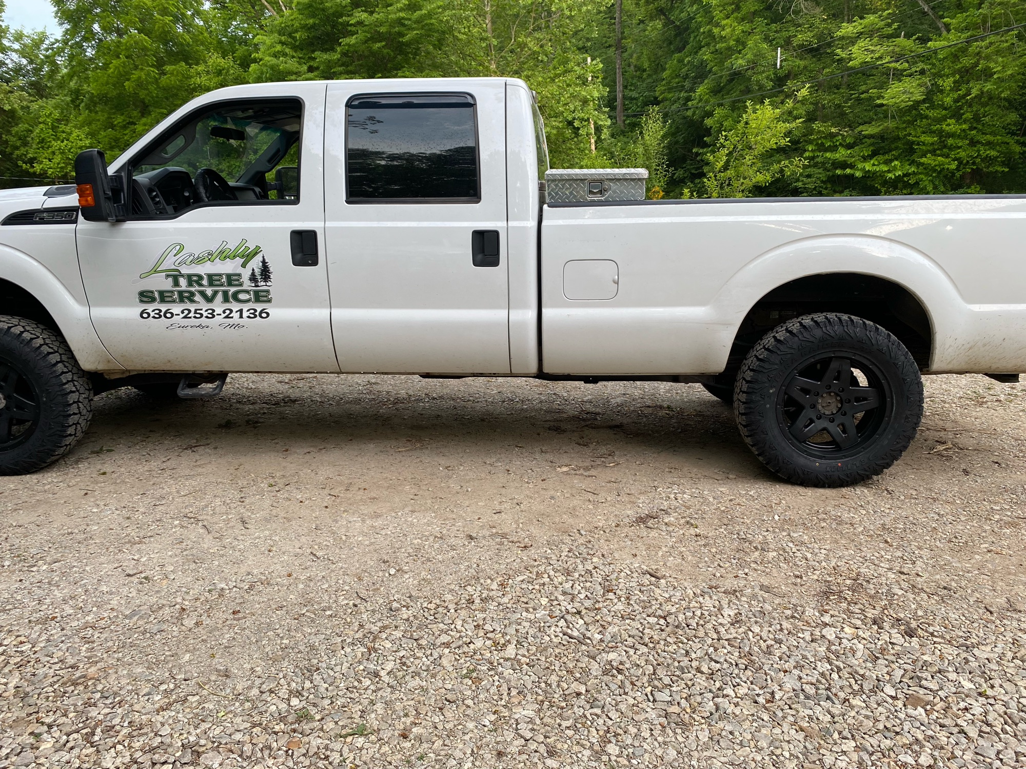 L. Lashly Tree Service Logo
