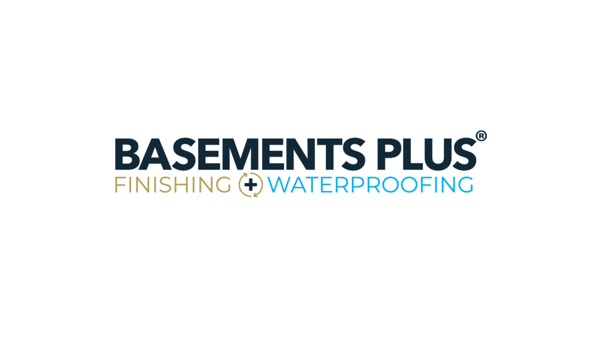 Dry Basements Plus, LLC Logo