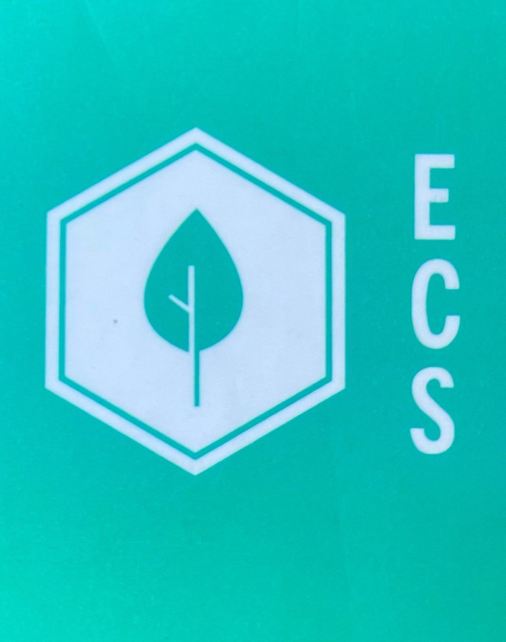 Environmental Construction Solutions, Inc. Logo