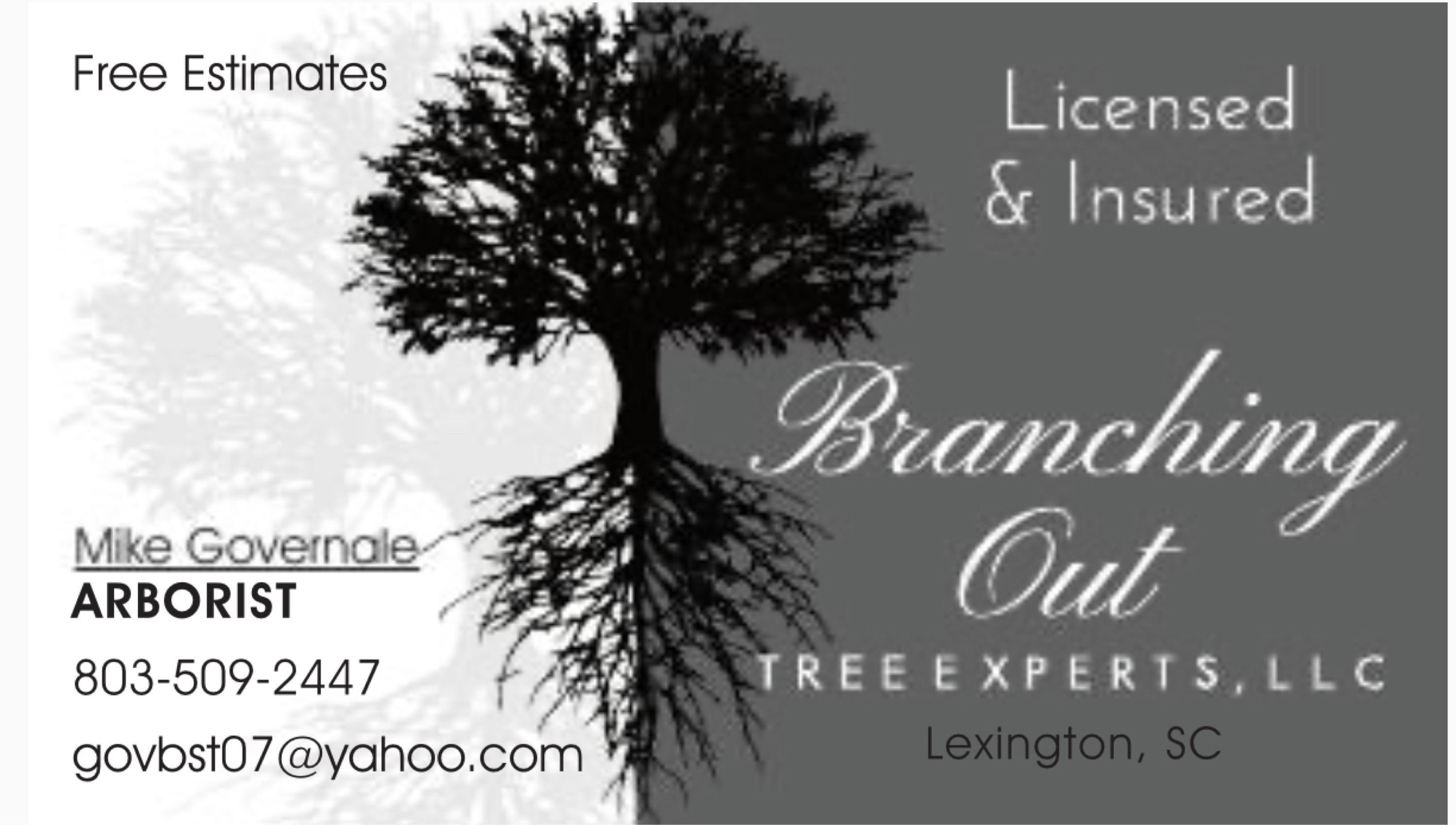 Branching Out Tree Experts, LLC Logo