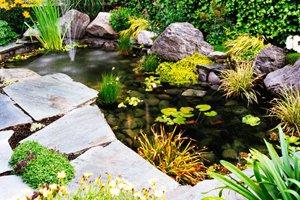 pond cost landscaping landscape install homeadvisor build costs much does koi average estimates lake prices related water dig projects foot