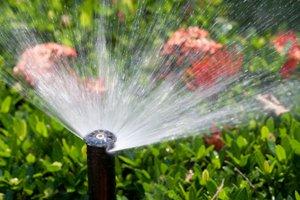 Sprinkler system business plan