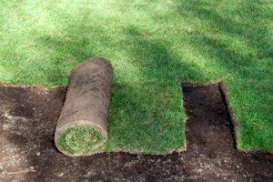 Cost Of Installing Sod Per Square Foot