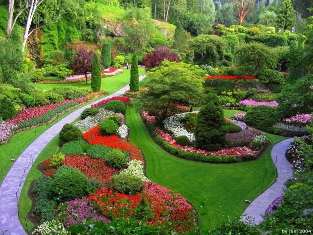 Yard & Garden