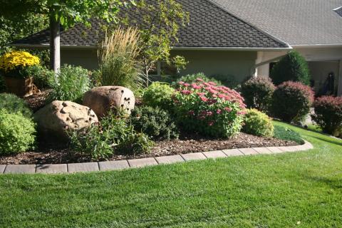Transitional Landscape with colorful bushes