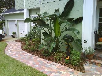 Installation of new pine bark mulch Pictures and Photos