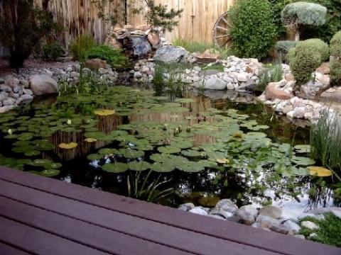 Eclectic Landscape with natural landscaping