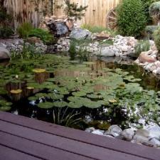 Eclectic Landscape with natural landscaping
