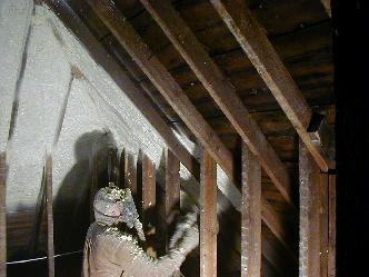 ''