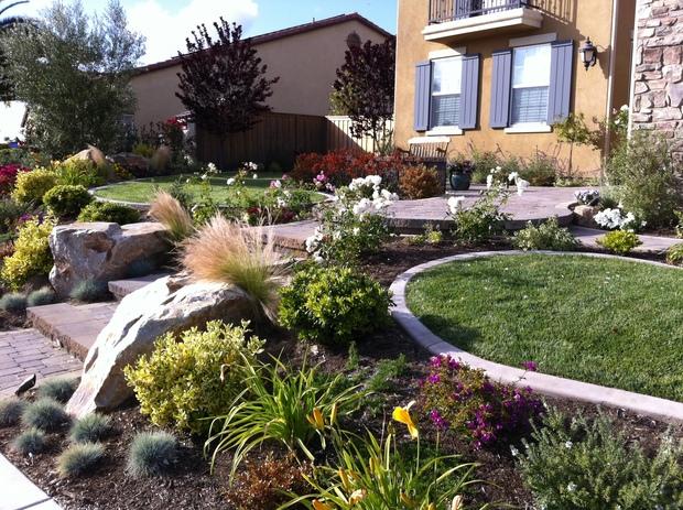 Transitional Landscape with different types of grasses