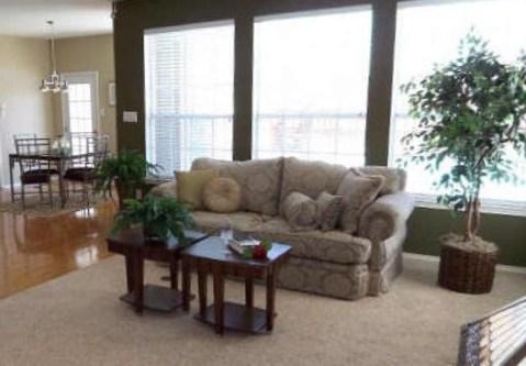 Traditional Family Room with dark green painted walls