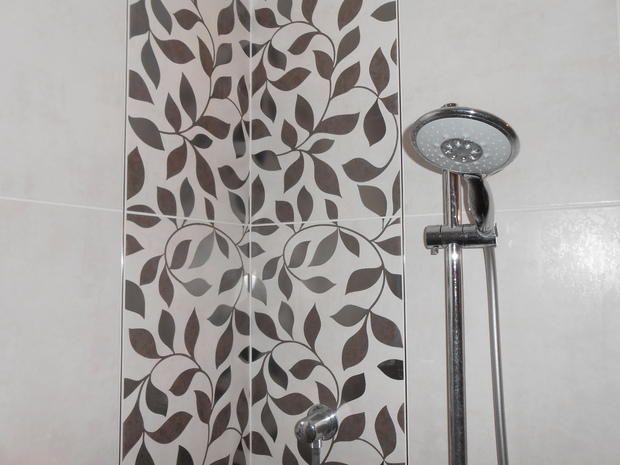 Transitional Bathroom with silver movable shower head