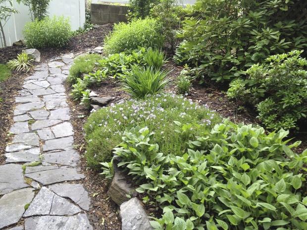 Transitional Landscape with flowering ground cover