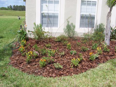 Contemporary Landscape with mulch landscaped area in front of home