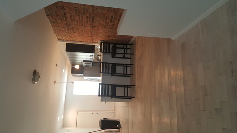 Modern Dining Room with ceiling mount light fixture