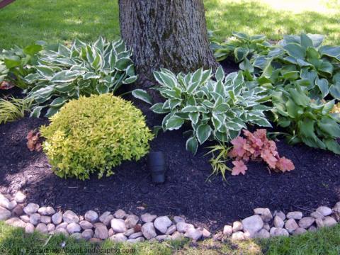 Contemporary Landscape with landscape lighting